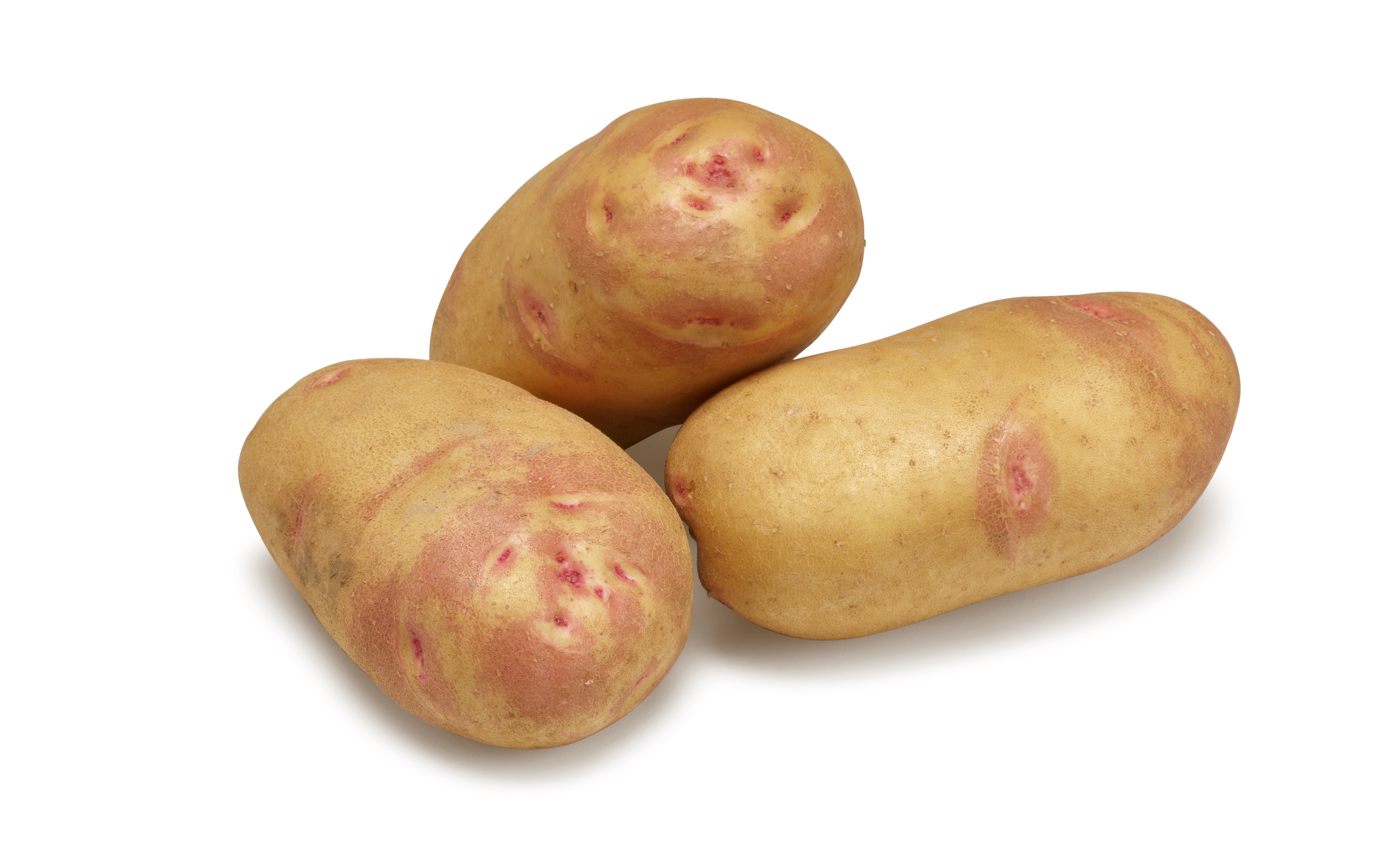 Picasso GRS®Agrico20