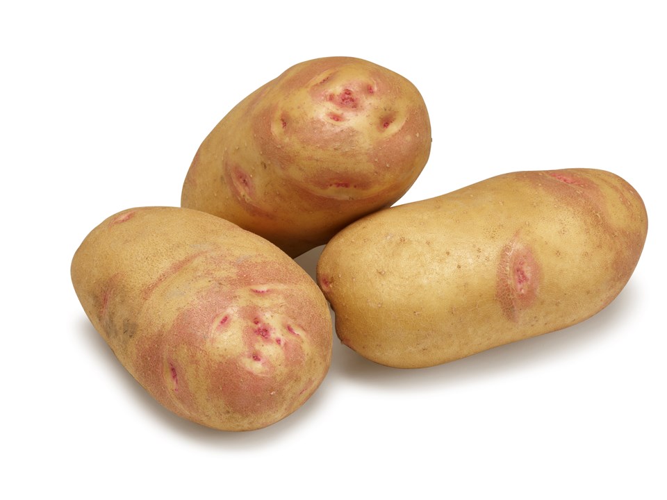 Picasso GRS®Agrico20