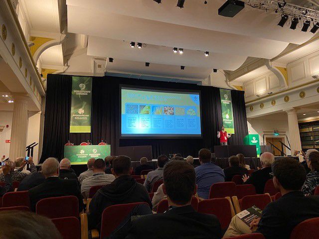 Conference