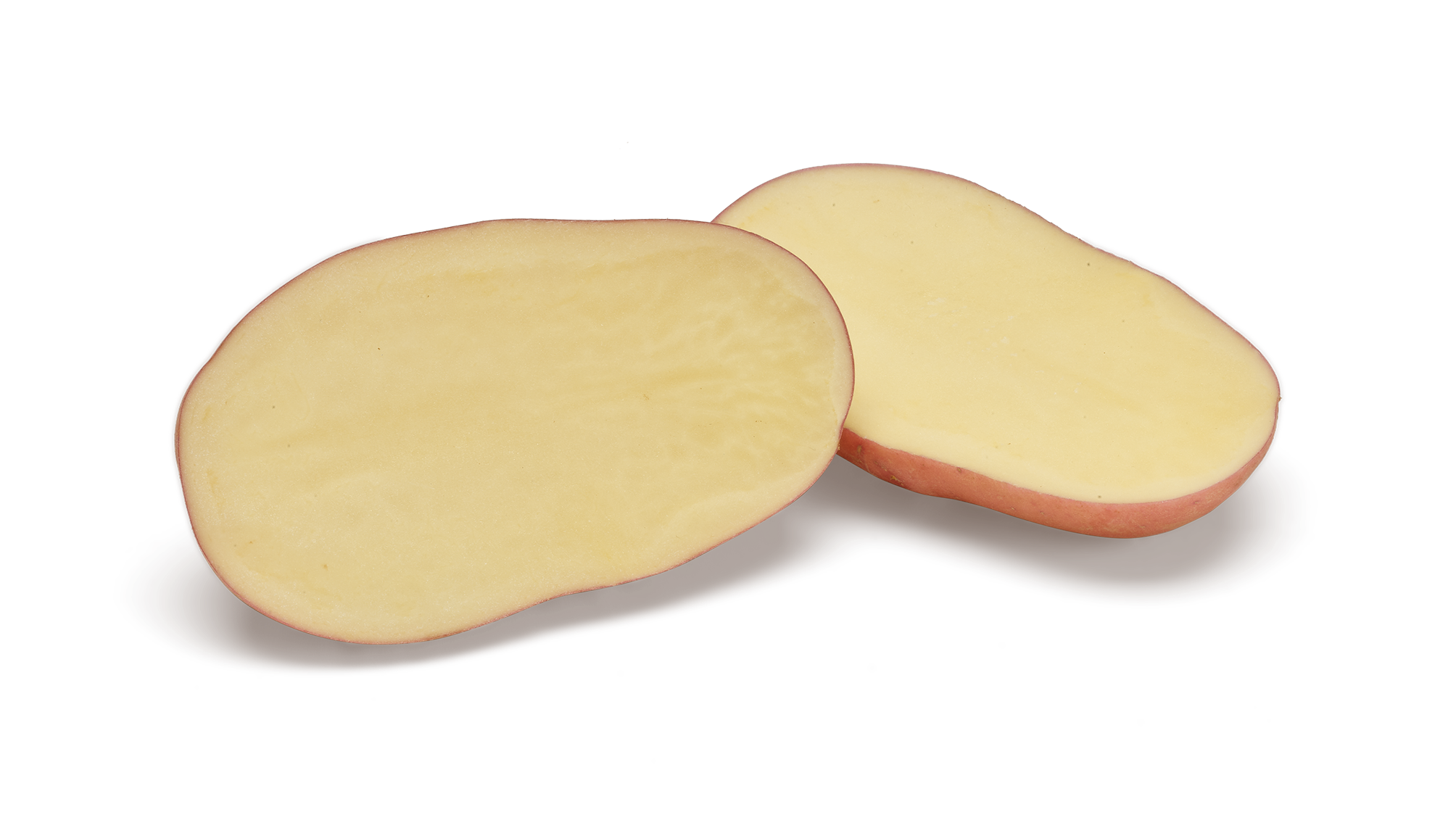 Corazon SNG CL®Agrico20