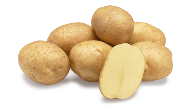 Websitefoto's HR Marfona GRB CL©Agrico20