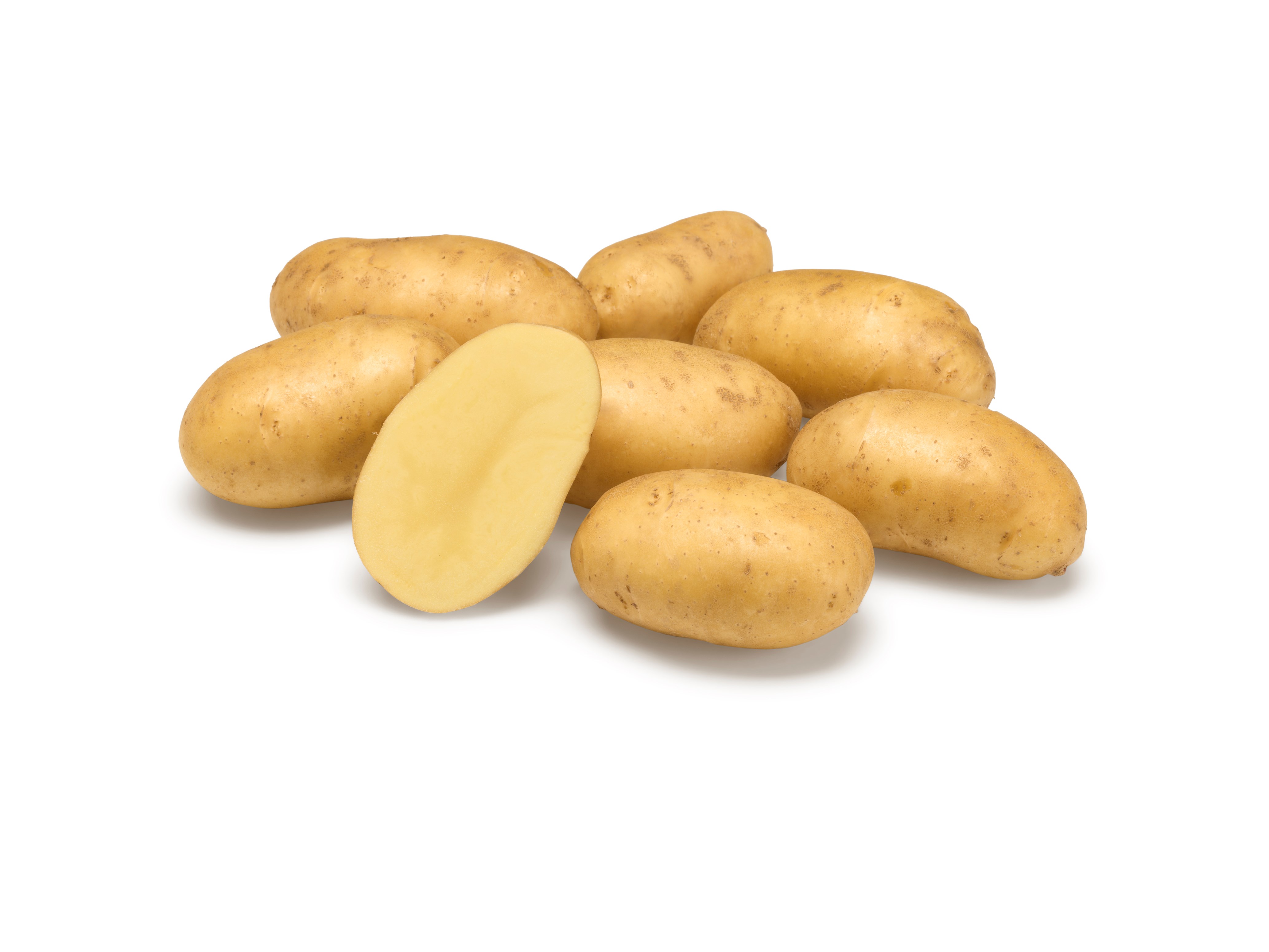 Athlete GRB CL©Agrico21 (1)