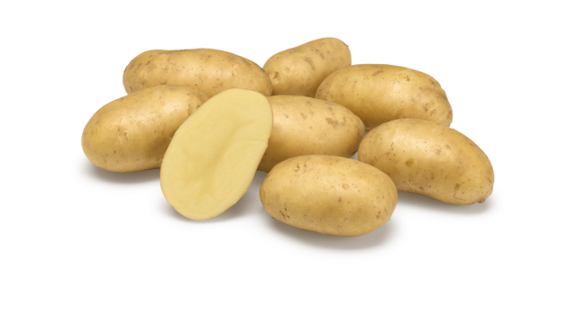 Athlete GRB CL©Agrico21 (1)