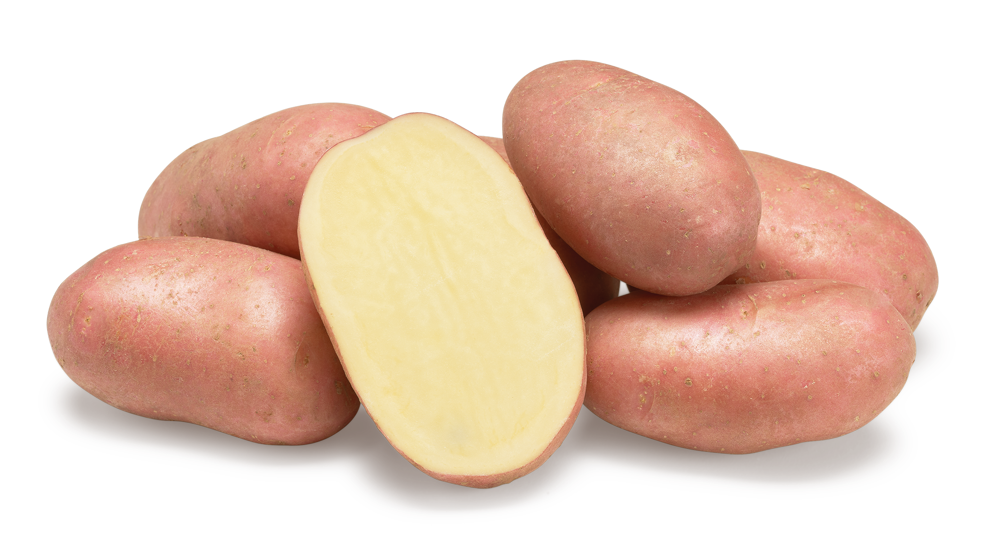 Corazon nestje met doorsnee