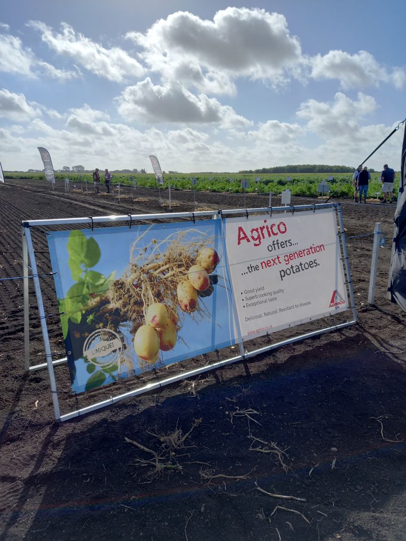 Ag Variety Day2