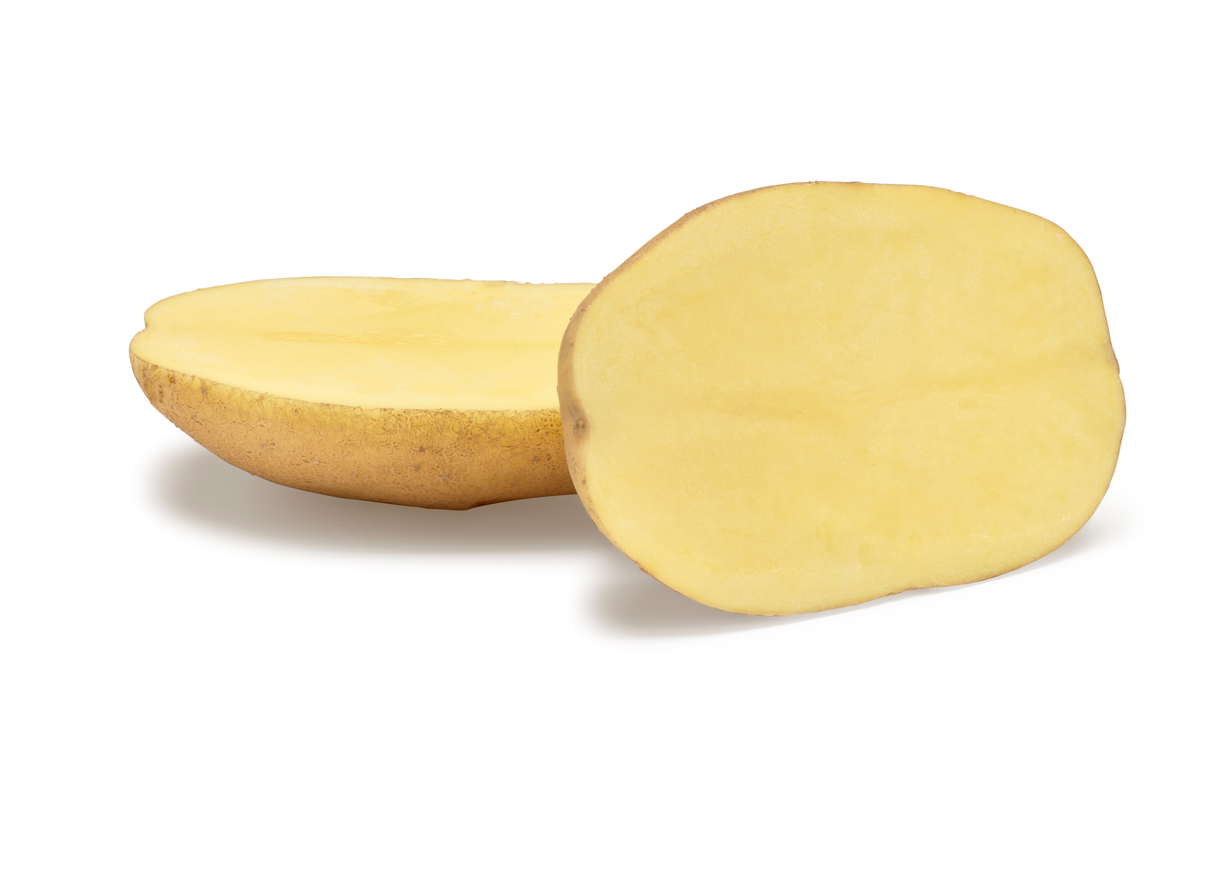 Agria SNG CL®Agrico20