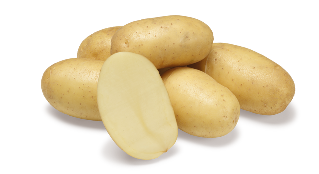Aardappelras Jolene