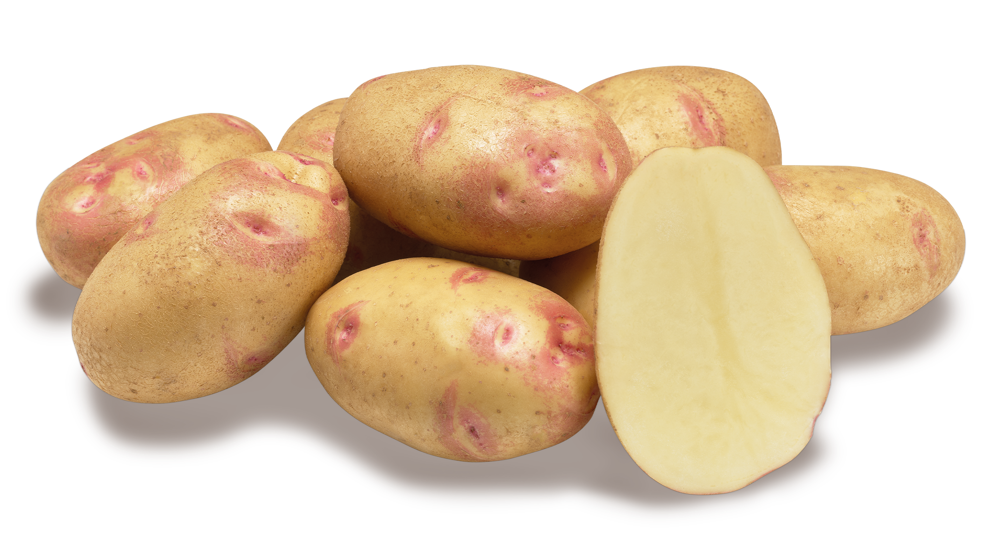 Picasso nestje met doorsnee