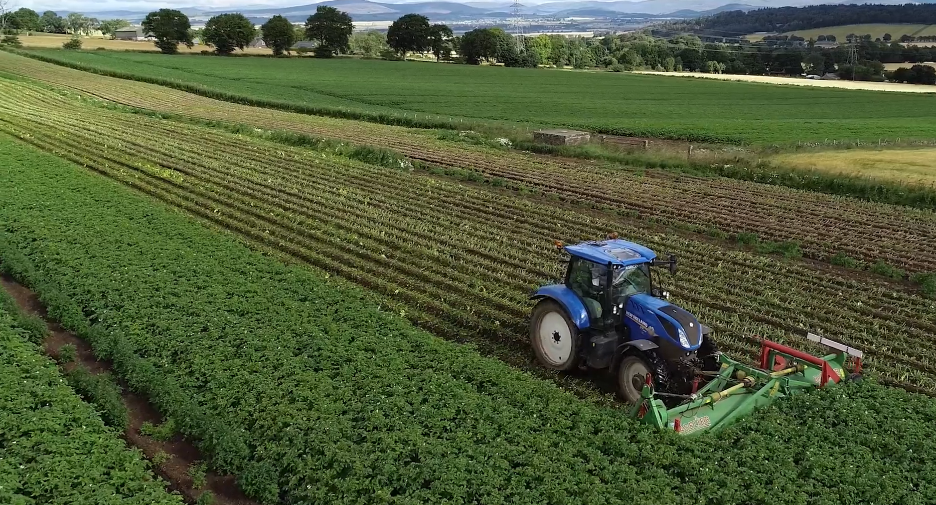 Tractor harvesting potatoes video still