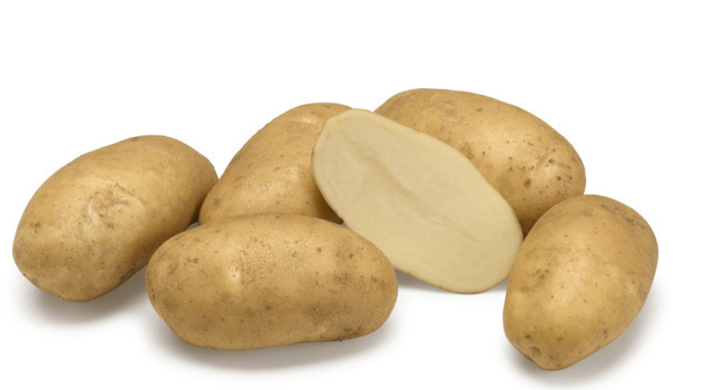 Aardappelras Sidney