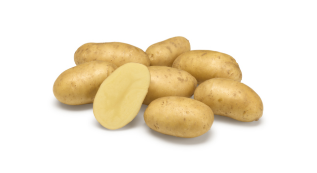 Ontwerp Zonder Titel 2026 02 18T104903.088