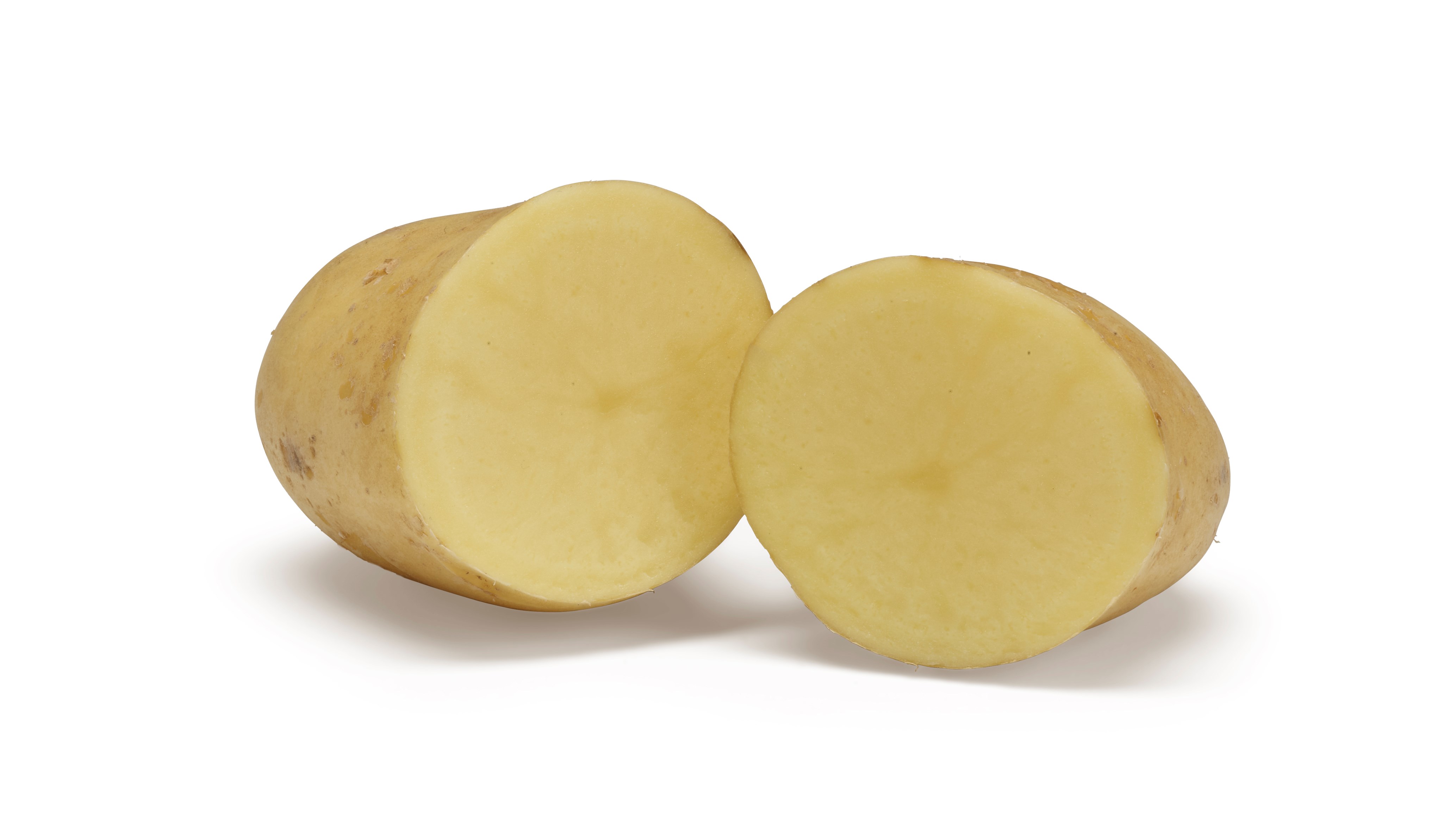 Levante SNG CC®Agrico20