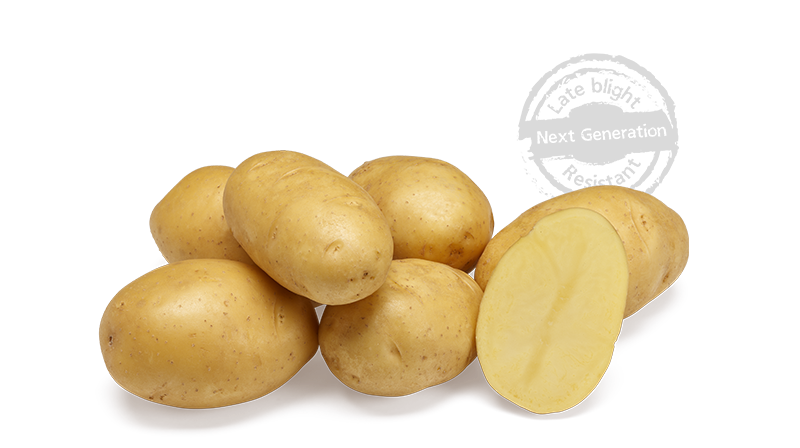 Twinner GRB CL©Agrico20 Met Stempel800x448