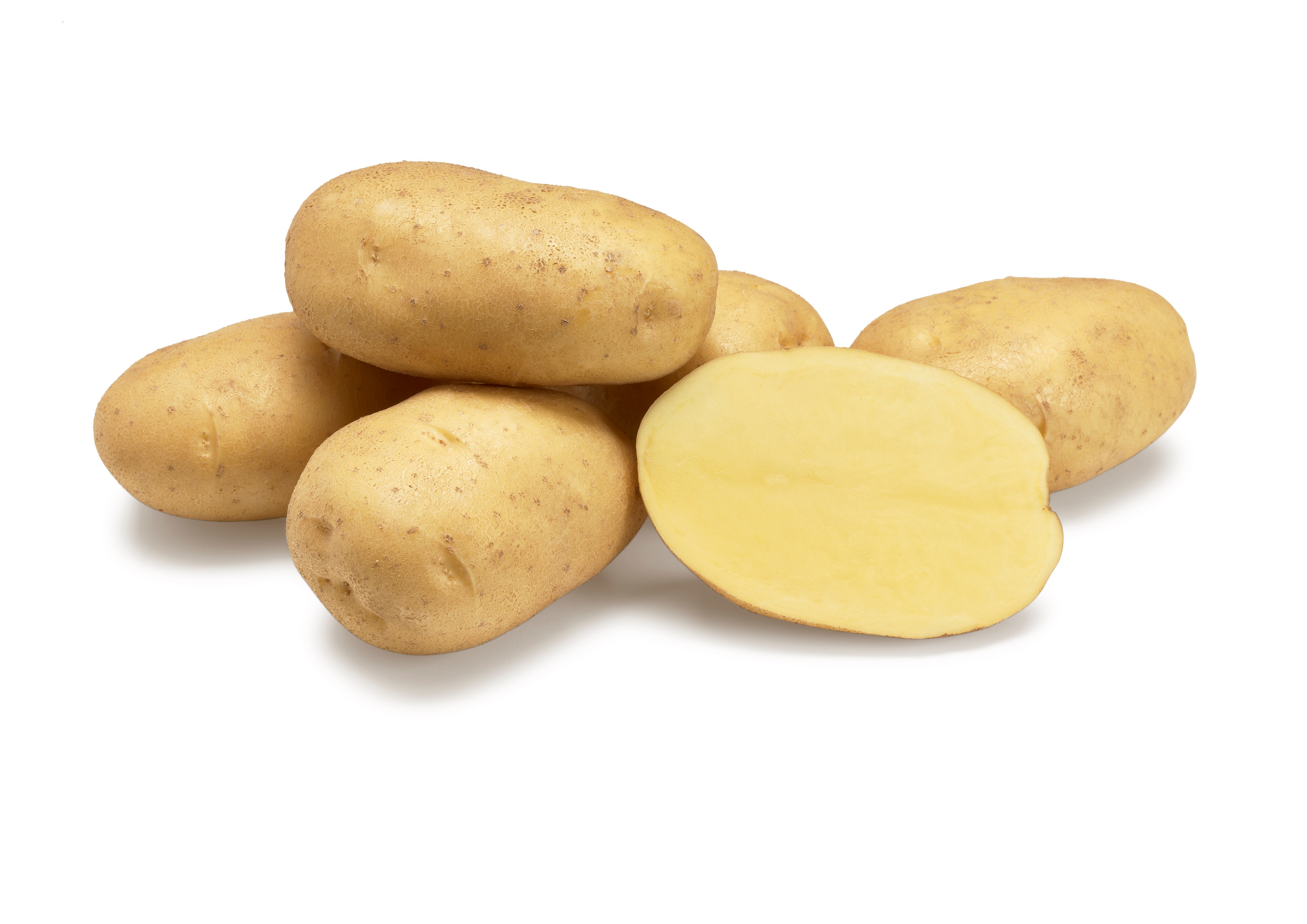 Agria nestje met doorsnee