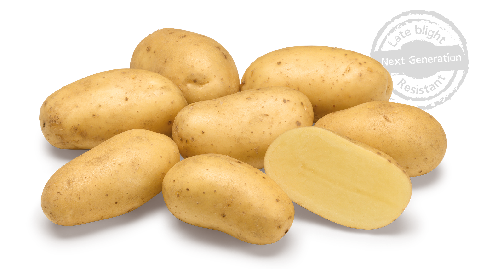 Levante GRB©Agrico21 Met Stempel800x448