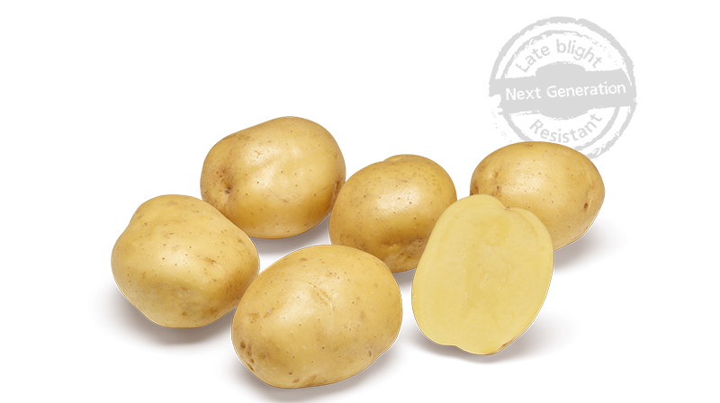 Twister GRB CL©Agrico20 Met Stempel800x448