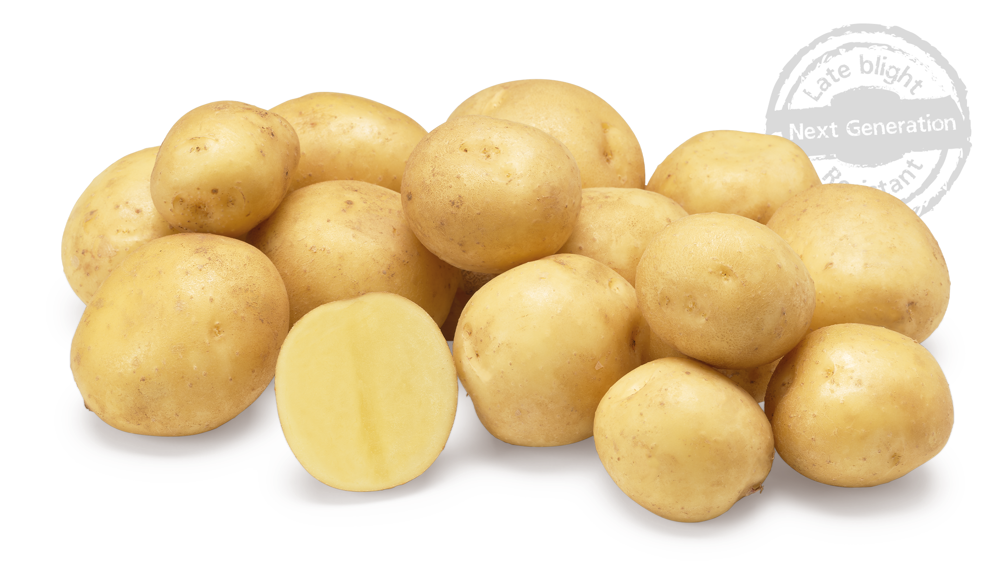 Jacky nestje met doorsnee