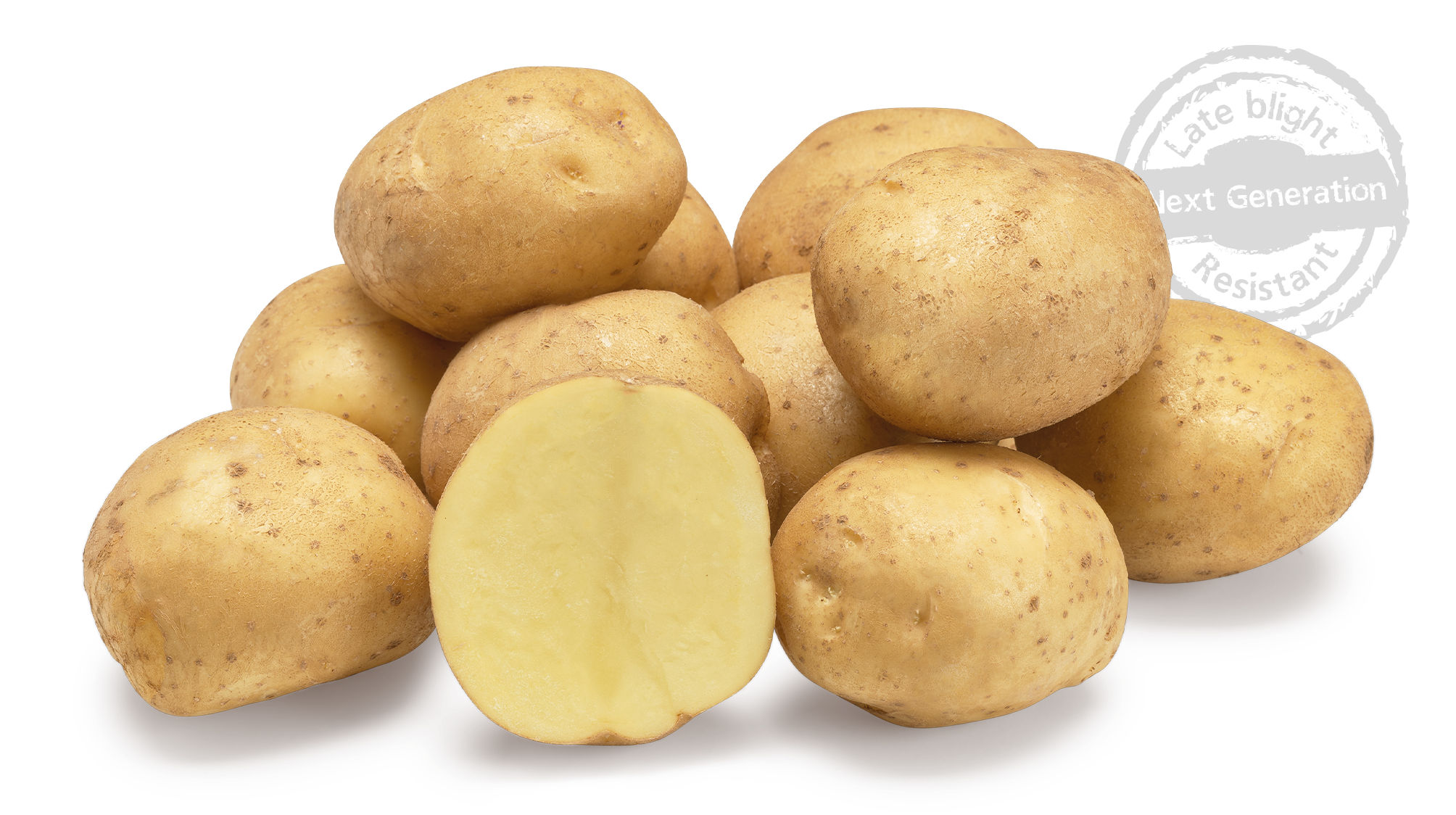 Beyonce nestje met doorsnee