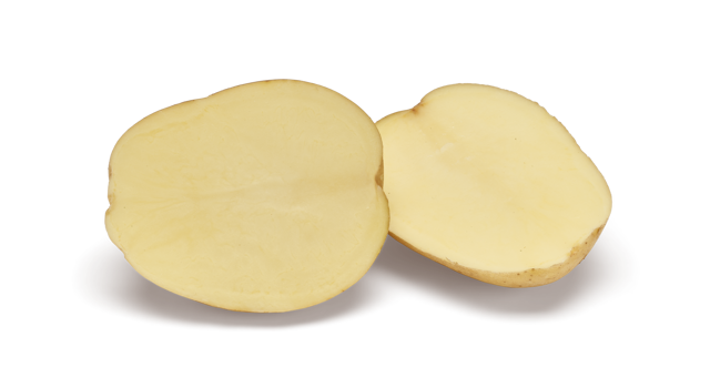 Websitefoto's HR Marfona SNG CL©Agrico20