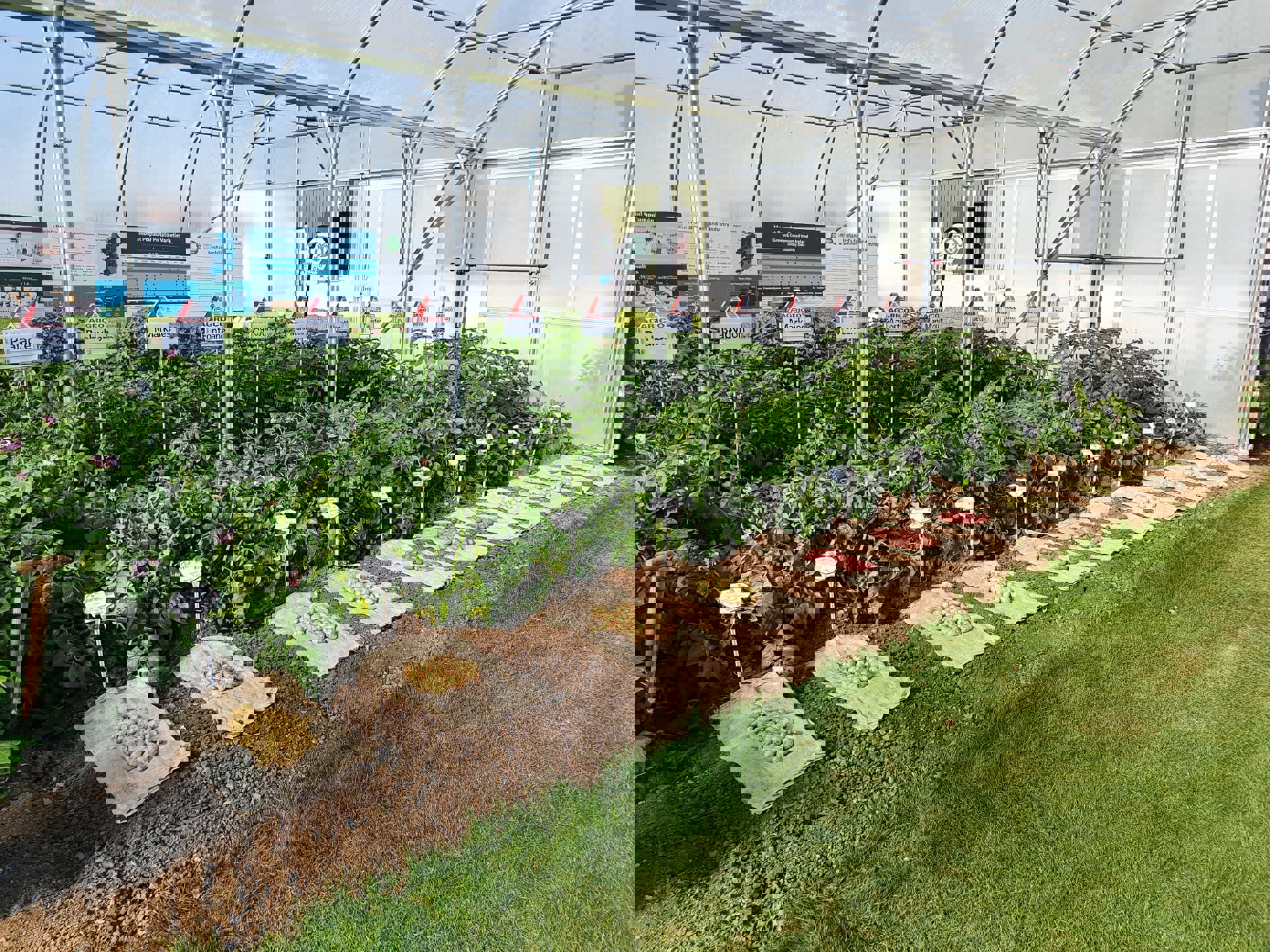 WPC 2022