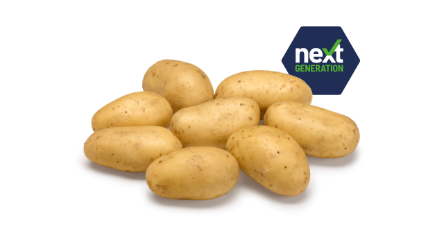 Ontwerp Zonder Titel 2026 02 18T105926.029