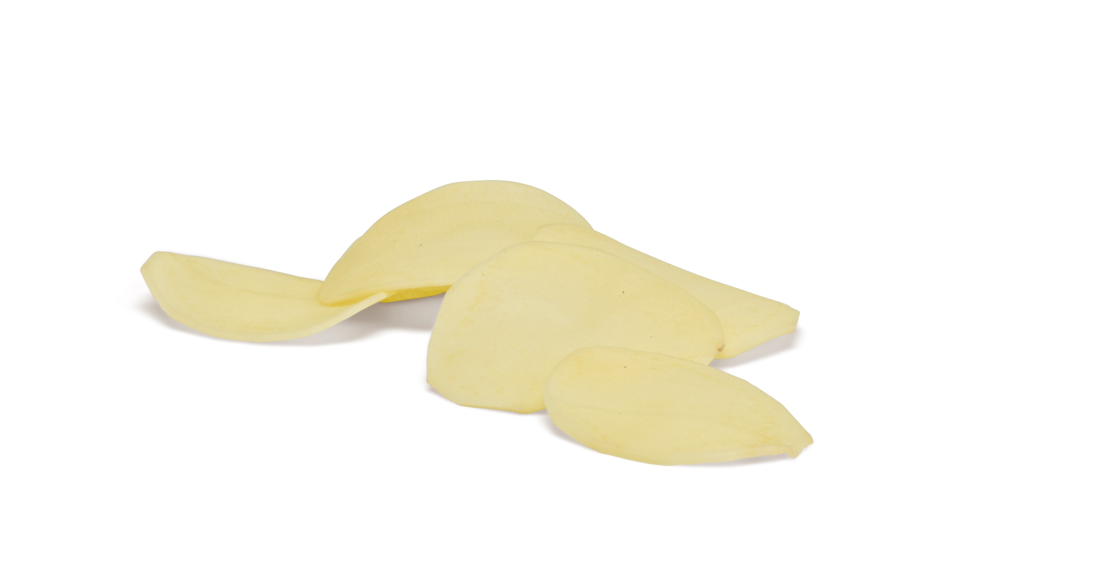 Beyonce CHP®Agrico20