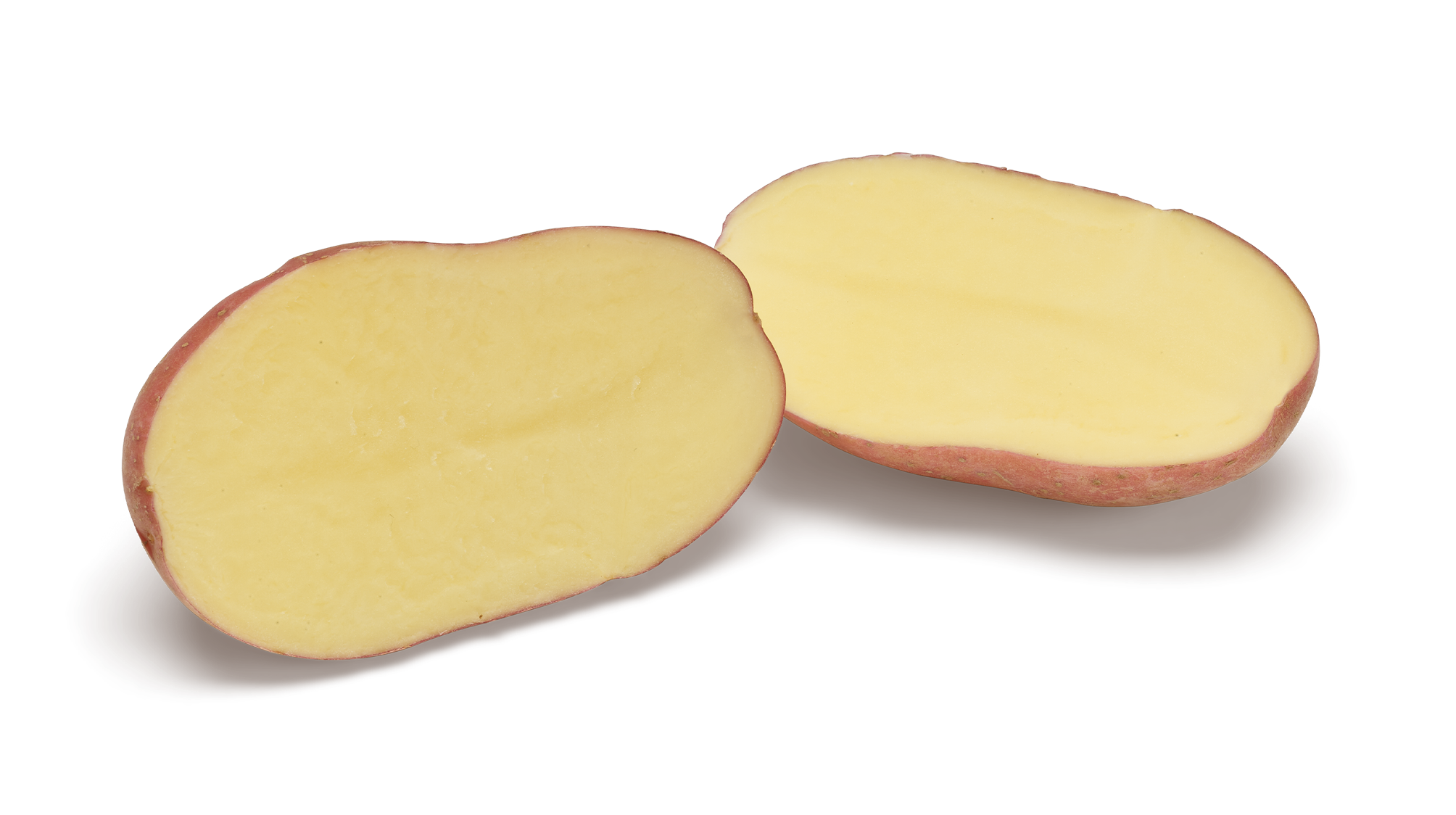 Alouette SNG CL®Agrico20