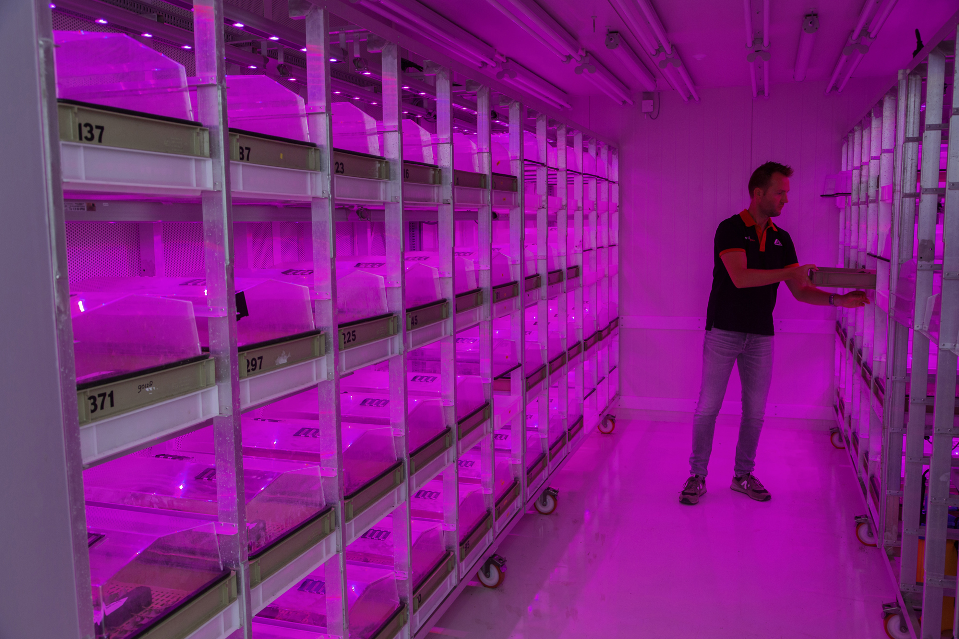 Breeding process at Agrico research