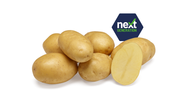 Ontwerp Zonder Titel 2026 02 18T111008.562