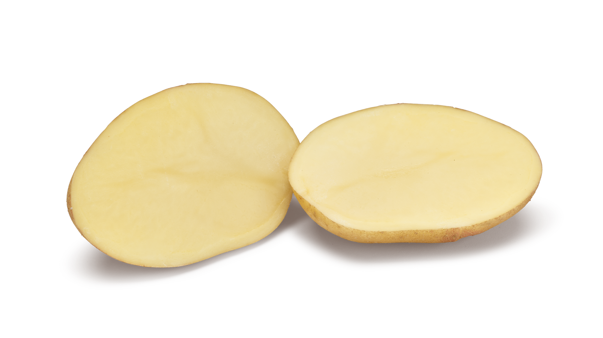 Picasso SNG CL®Agrico20