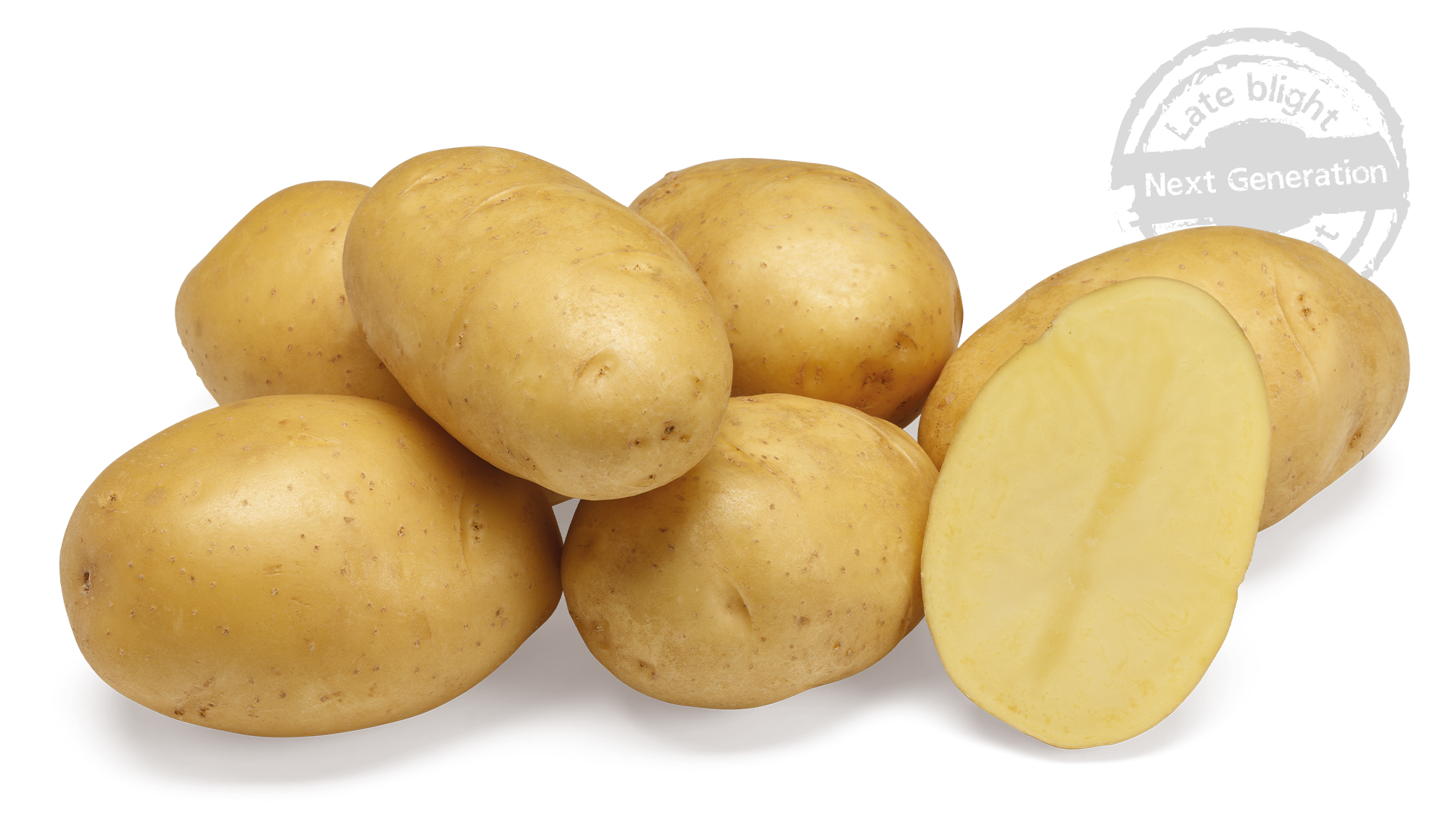 Twinner nestje met doorsnee