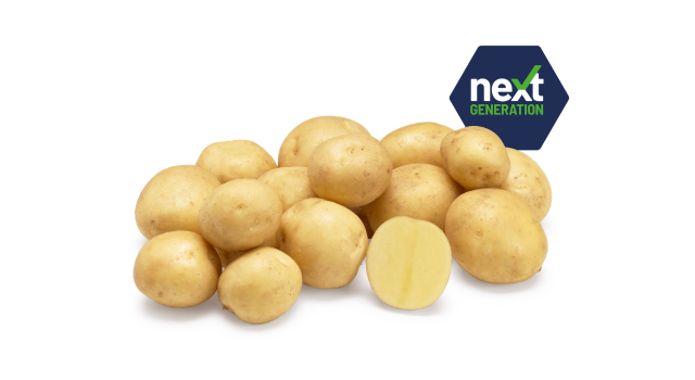 Ontwerp Zonder Titel 2026 02 18T105654.221