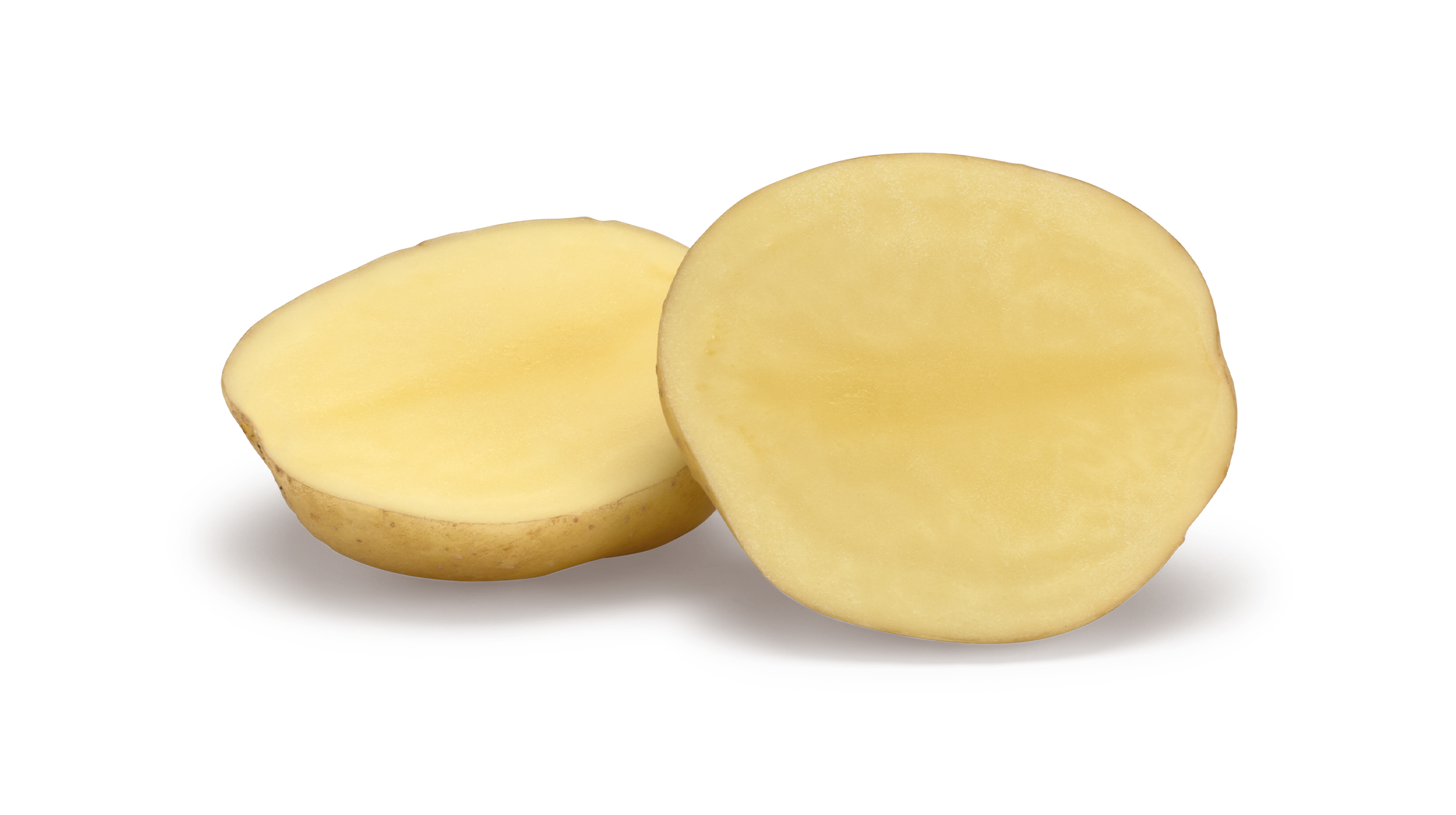 Jacky SNG CL®Agrico20