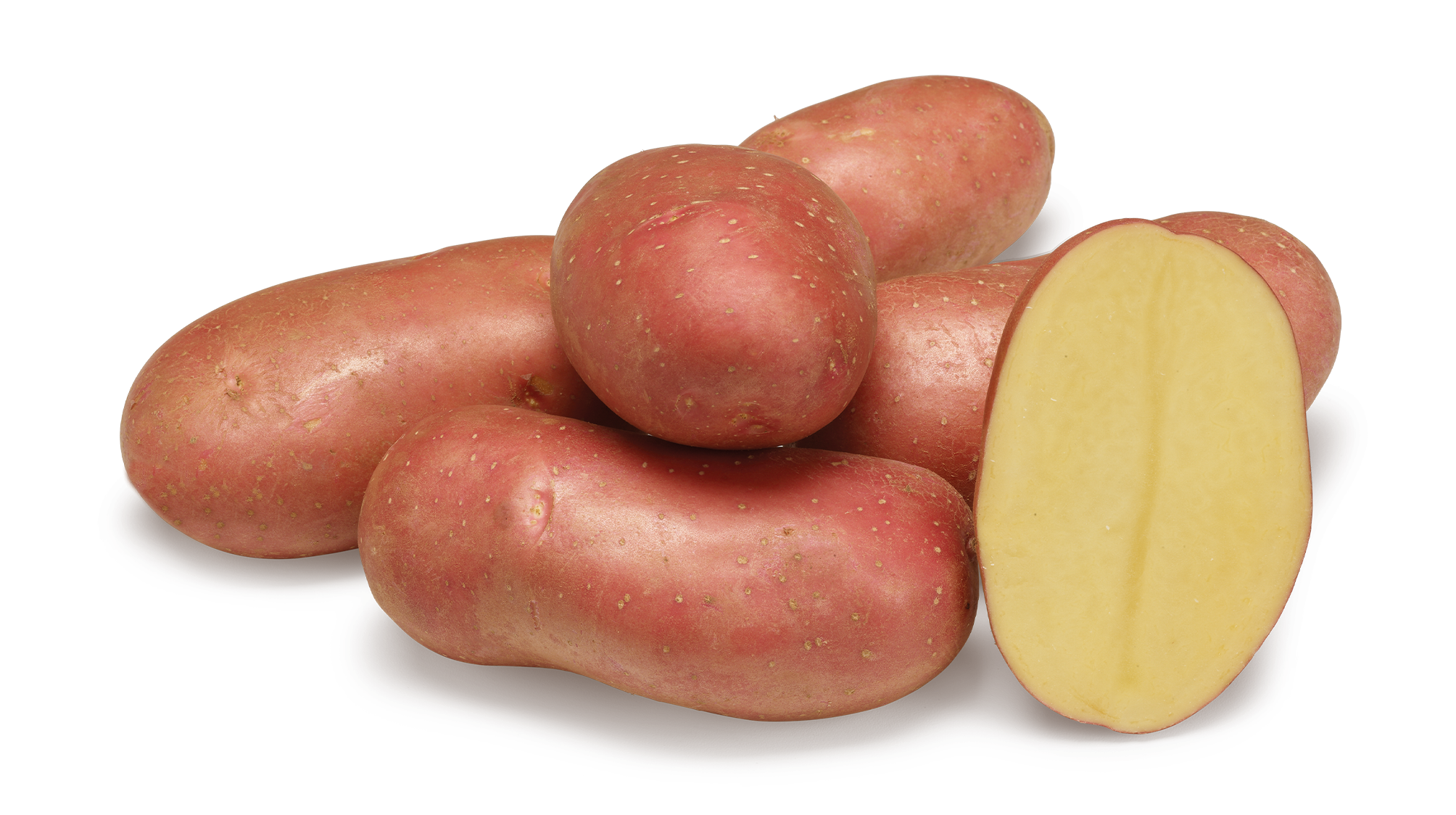 Manitou nestje met doorsnee