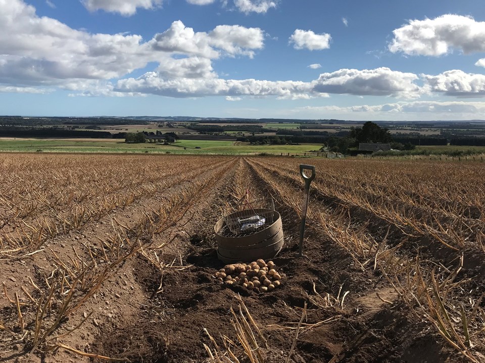 Picasso COM FLD©Agrico18