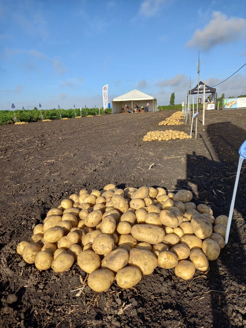 Ag Variety Day1