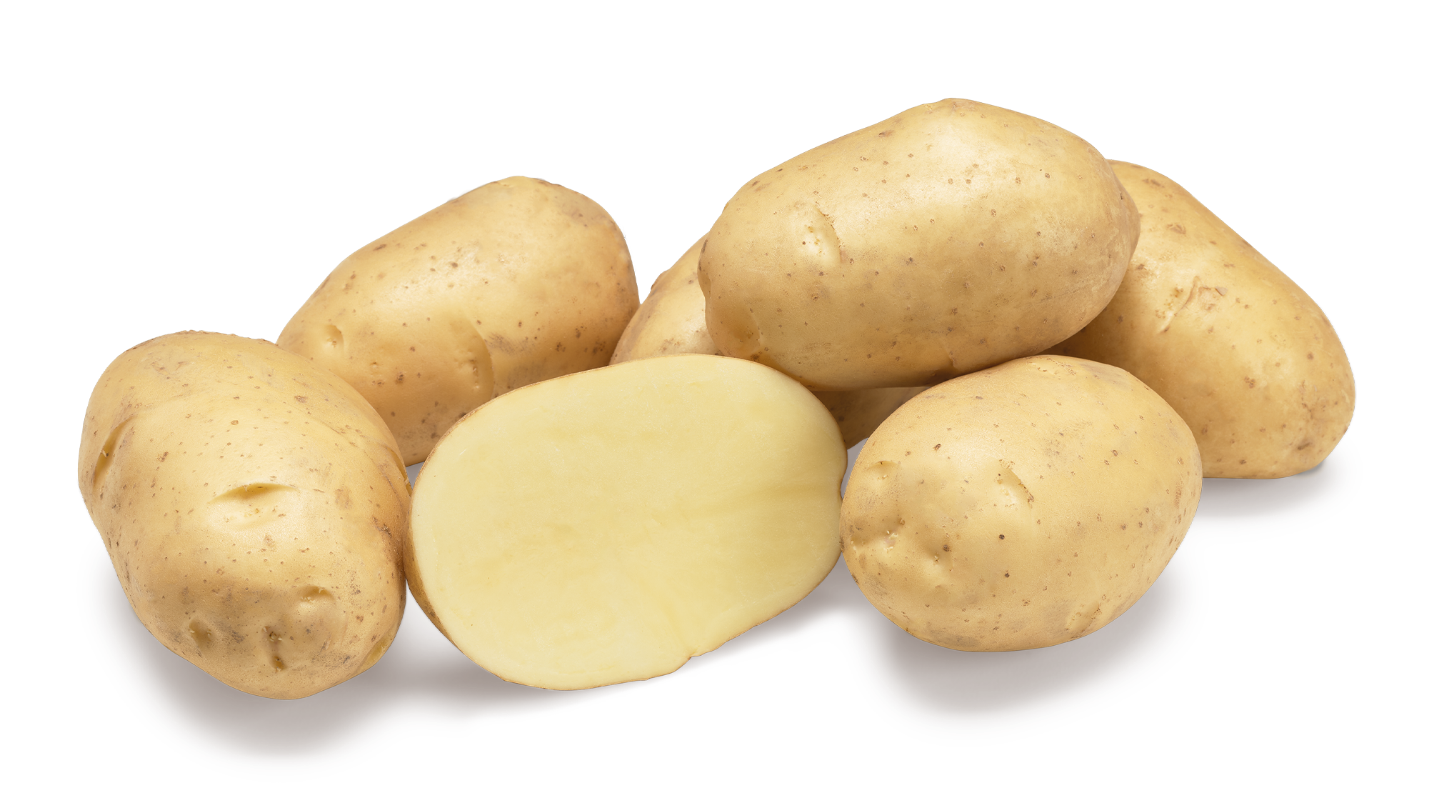 Markies nestje met doorsnee