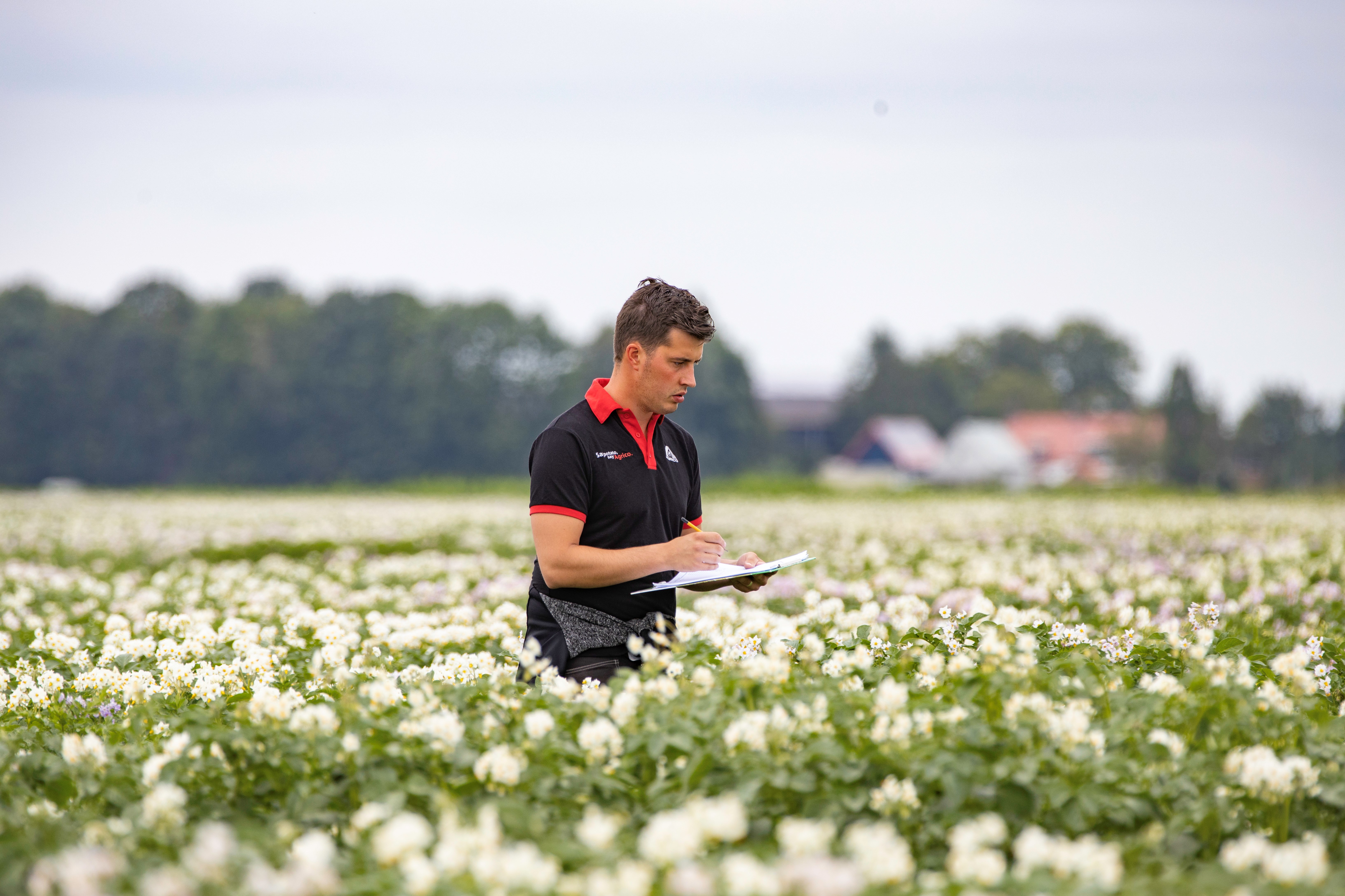 Agrico inspecting quality demofield 