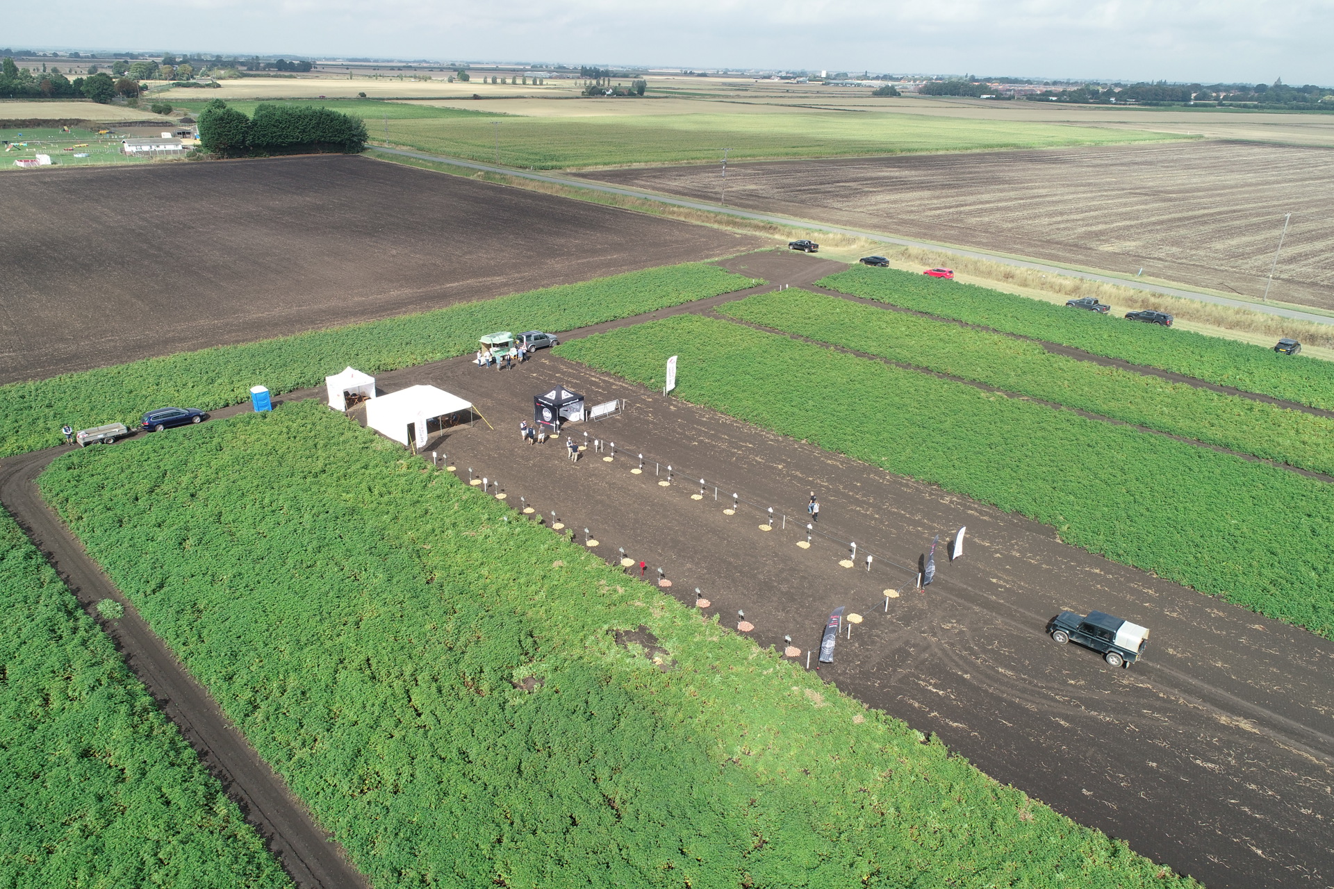 Ag Variety Day3