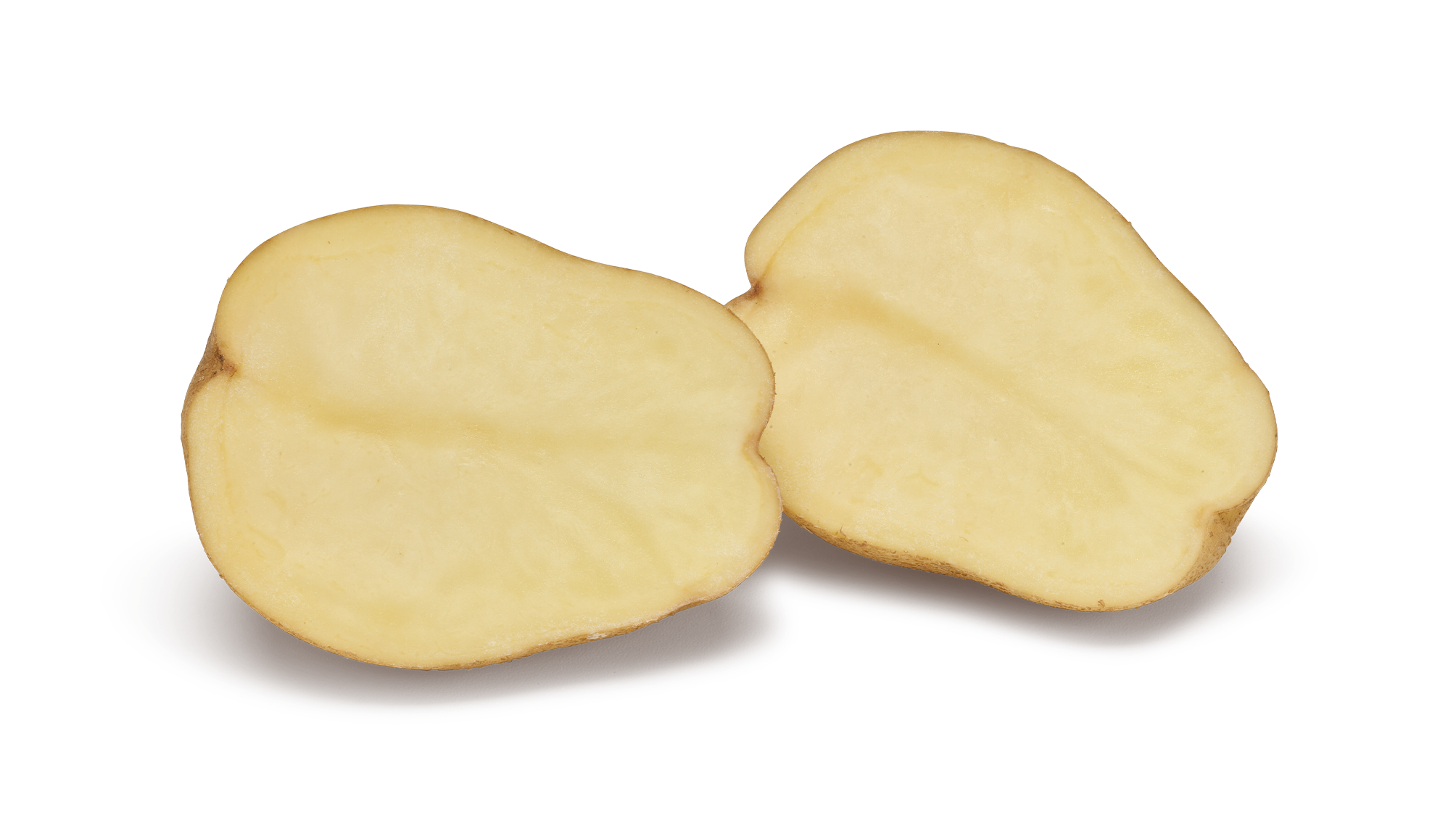 Arsenal SNG CL®Agrico20