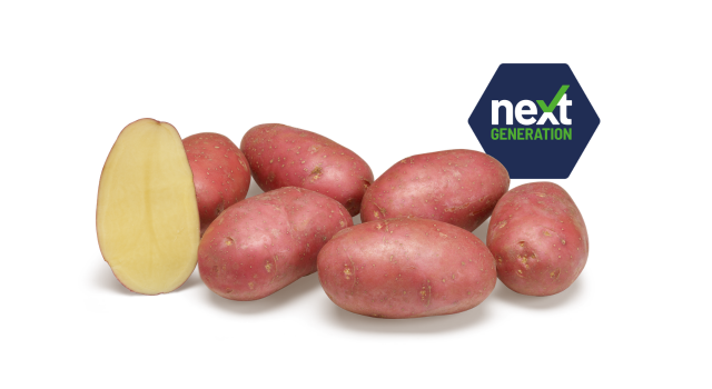 Ontwerp Zonder Titel 2026 02 18T104934.099