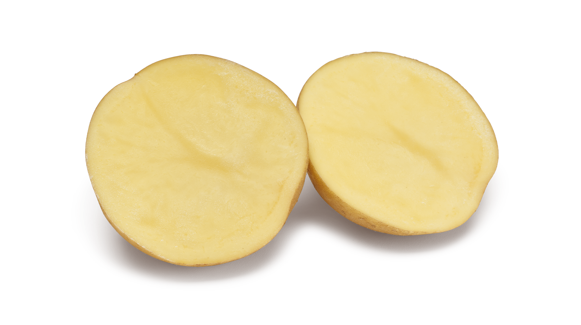 Beyonce SNG CL®Agrico20