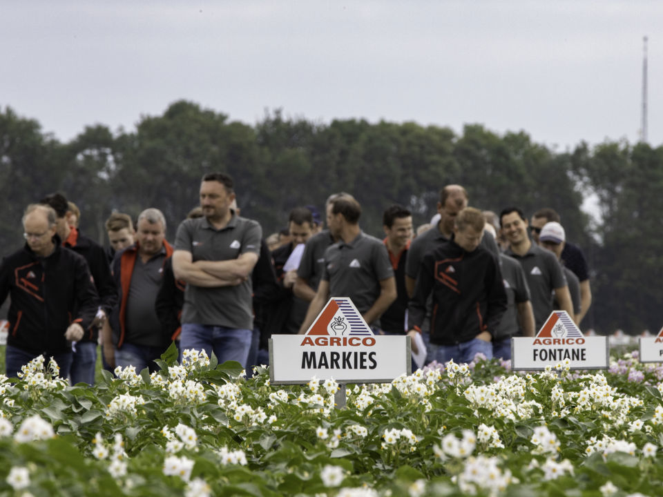 ©Klaas Eissens Agrico RS 27 06 19 Demovelden 4