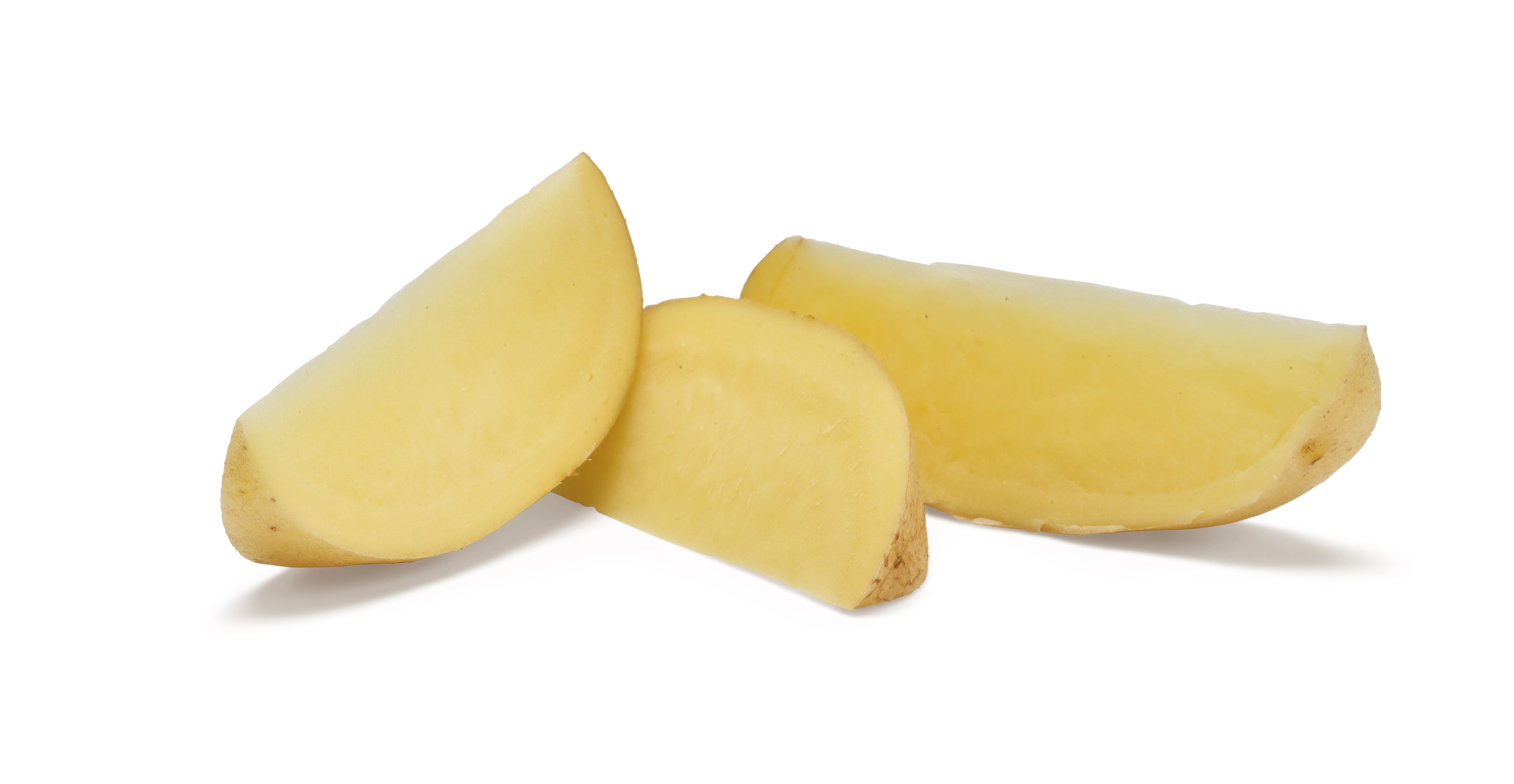 Twister WDG®Agrico20