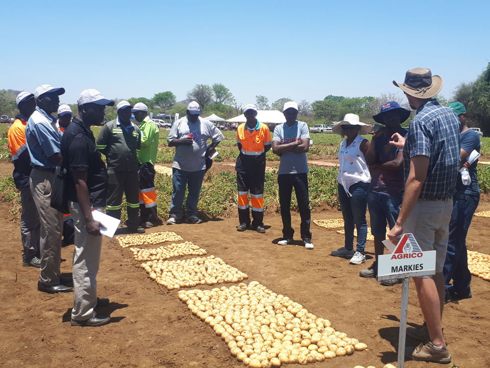 Open Dag Zimbabwe