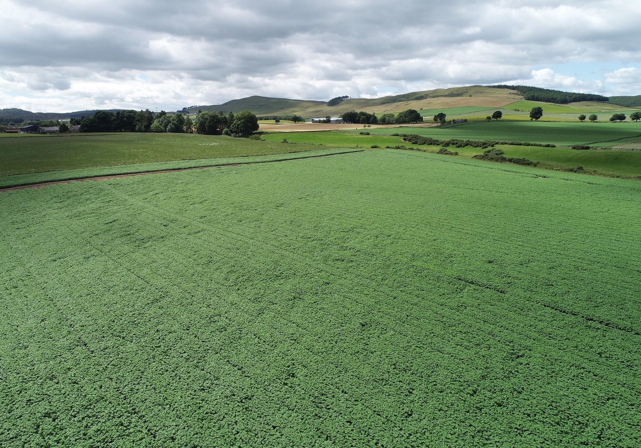 Arsenal COM FLD©Agrico18 1