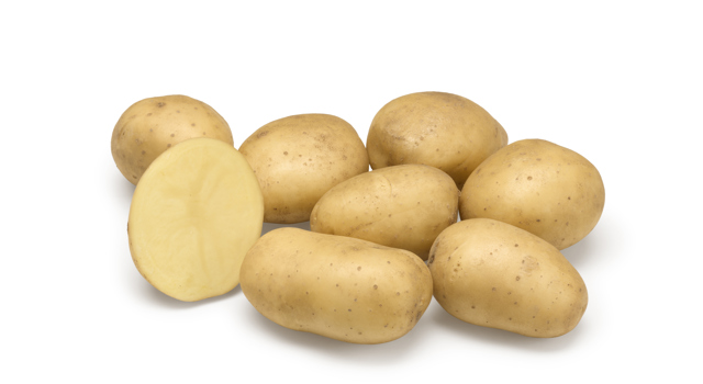 Estima GRB CL©Agrico21 (1)