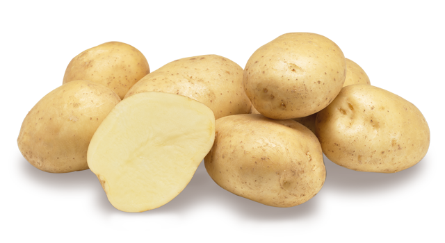 Premiere nestje met doorsnee