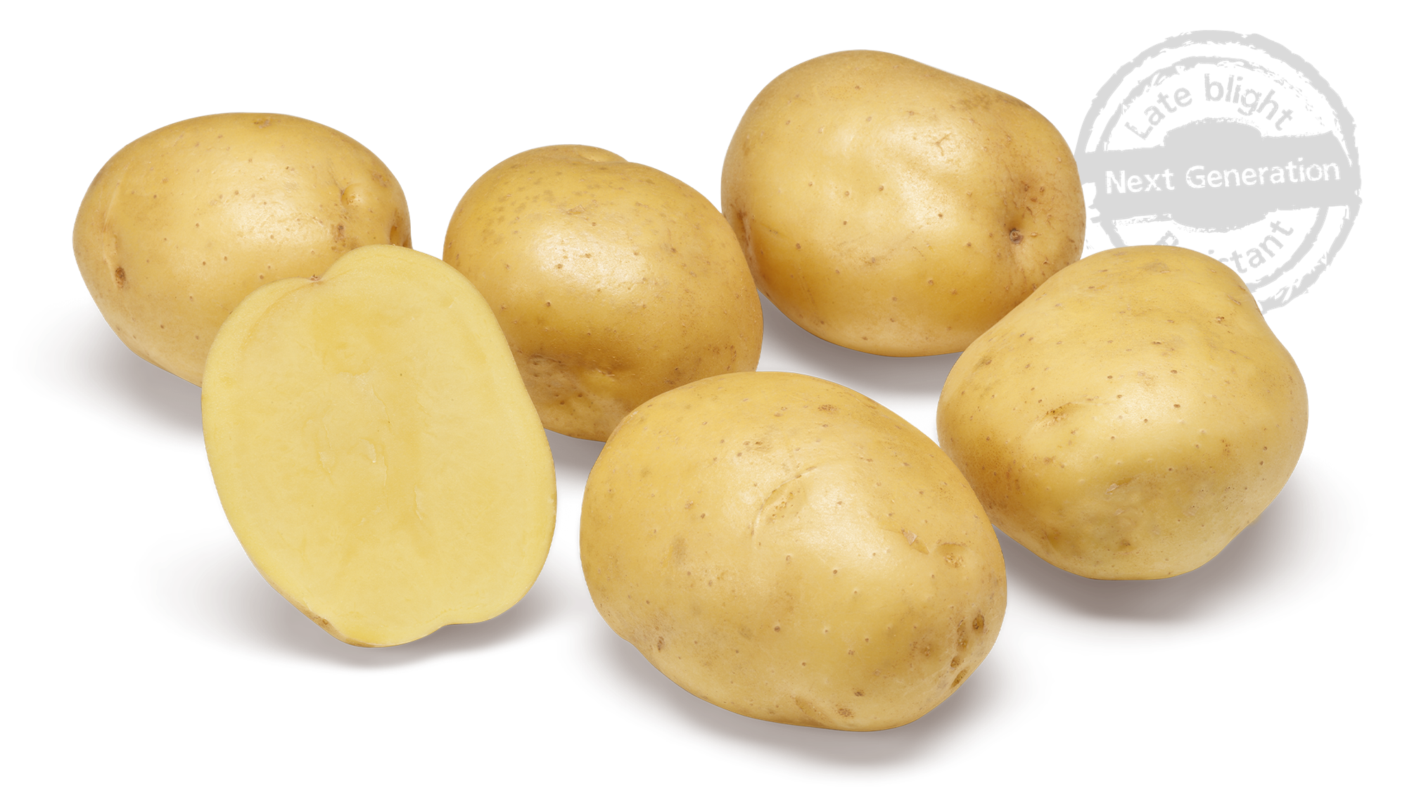 Twister nestje met doorsnee