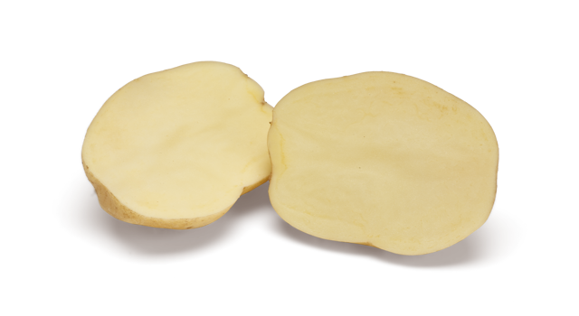 Premiere SNG CL®Agrico20